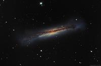NGC 3628 (acquisition by Jim Misti and processed by Louie Atalasidis