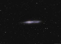 NGC 55