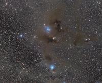 IC 2631(The Chameleon Cloud)