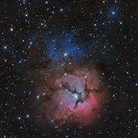 M20(The Triffid Nebula)