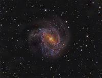 M83(Southern Spiral)