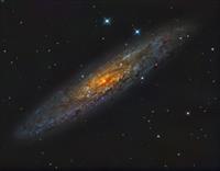 NGC 253(Taken with RC12)