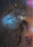 Rho Ophiuchus Region