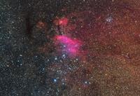 IC 4628 (The Prawn Nebula)