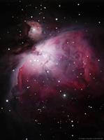 M 42