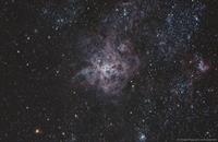 NGC 2070(The Tarantula)