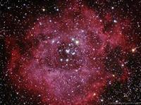 Rosette Nebula